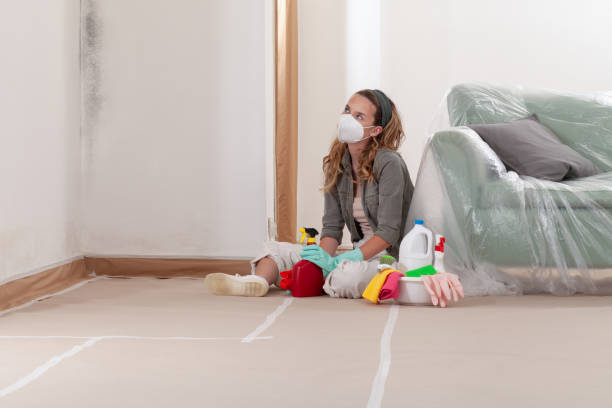 Reliable Mold Remediation contractor in Louisville, CO by 24 Hour Mold Removal